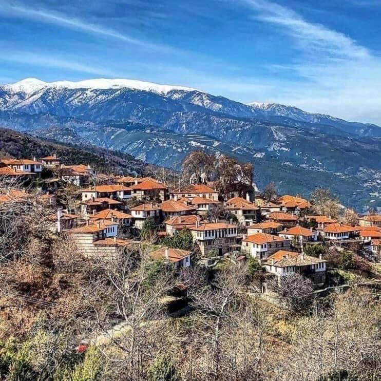 Ξενώνας Τ'Αρχοντικό Palaios Panteleimonas Bagian luar foto